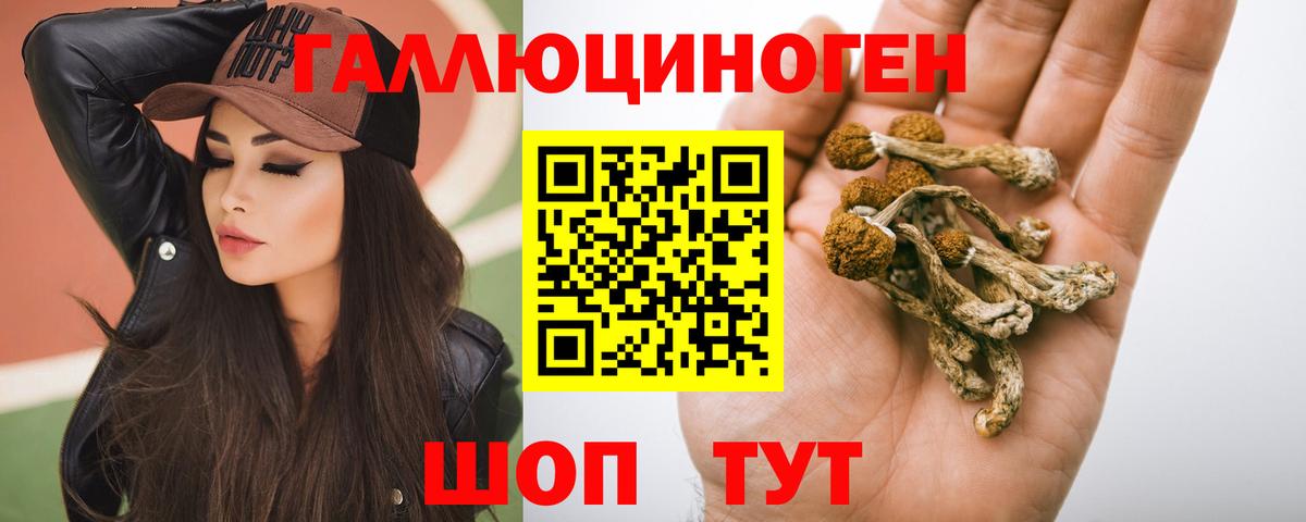 Галлюциногенные грибы Magic Shrooms Верхняя Пышма